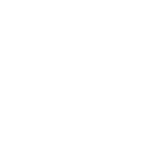 Capsa